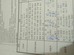 袋怎么组词
