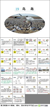 袋怎么组词