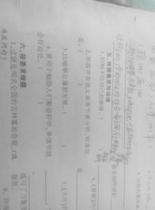 拍怎么组词