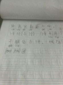 零怎么组词林