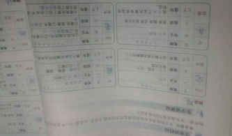 搜索该怎么组词