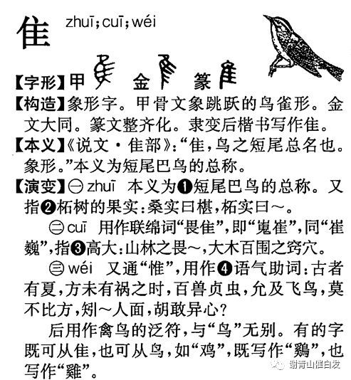 鼠开头怎么组词
