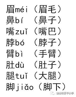 鼠开头怎么组词