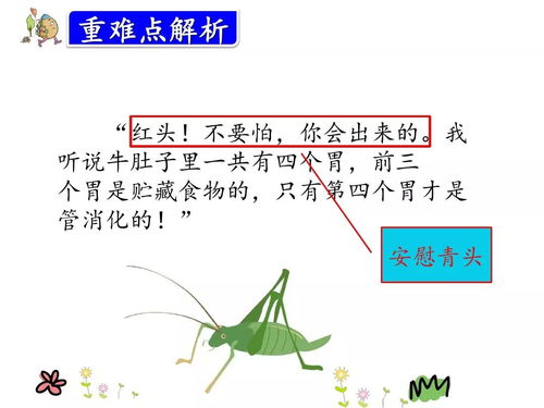 猎肚怎么组词