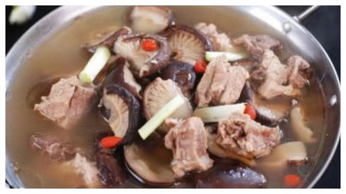 炖肉顿顿怎么组词