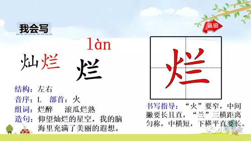 羊怎么组词海洋的洋