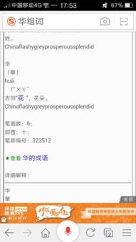 和叶怎么组词