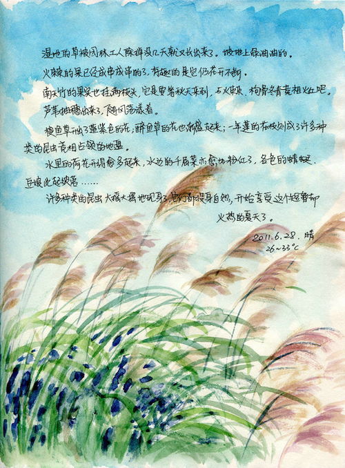 荒野的花可以怎么组词