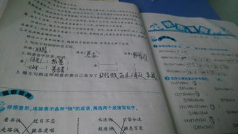 卅怎么组词