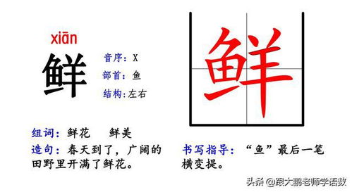小度熊掌怎么组词