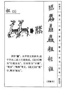 粗部首组词