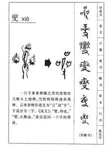 p液撇怎么组词