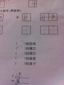采加偏旁组词