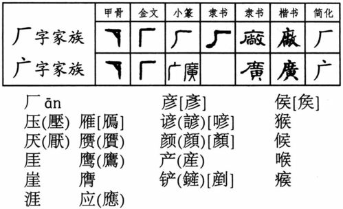 寿这字怎么读组词怎么写