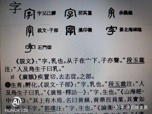 寿这字怎么读组词怎么写