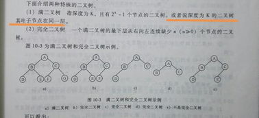 画树的话可以怎么组词