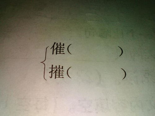 怎么组词摧