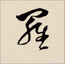 罗字怎么写呀怎么组词