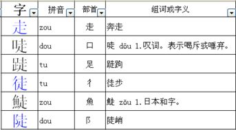 装字怎么组词