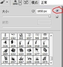 P怎么组词啊