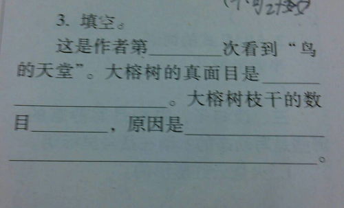 蚊怎么组词