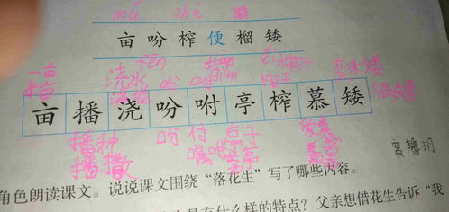 播首怎么组词
