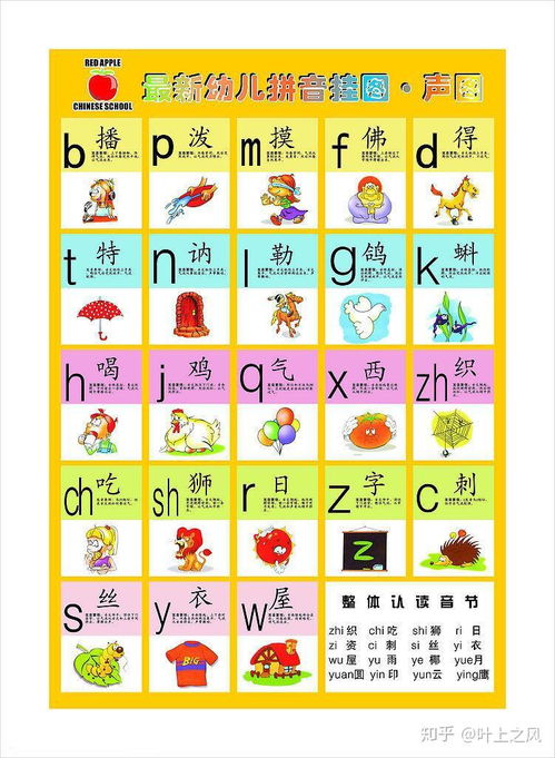 苋怎么读拼音和组词