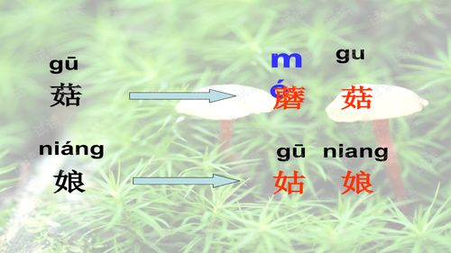 小姑娘菇怎么组词