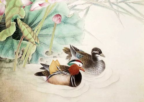鸳鸯的昂怎么组词语