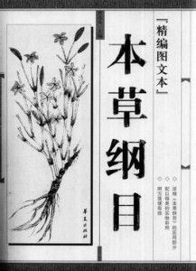 马绊怎么组词