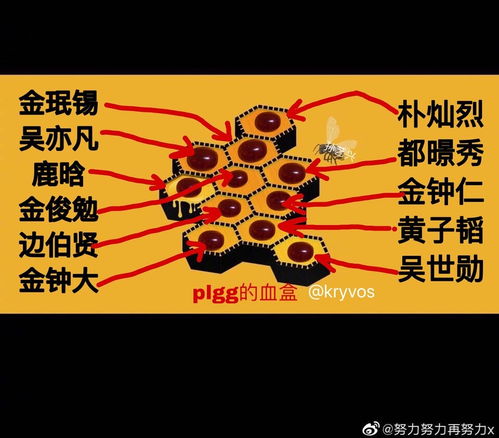 脸怎么组词莲花的莲
