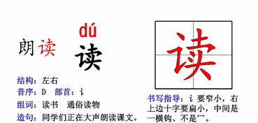 花字组词语