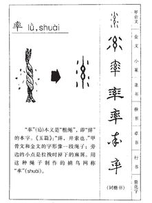 用率怎么组词