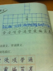 怎么组词锲