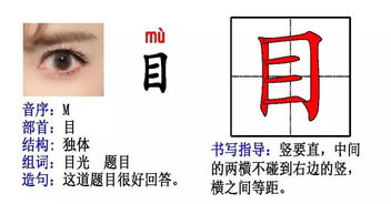 焉的偏旁结构组词怎么写