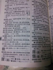 唐鼎怎么组词