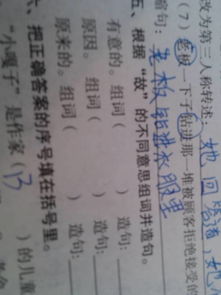 什么突出怎么组词造句