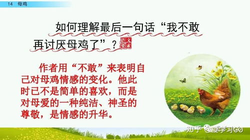 孵该怎么组词