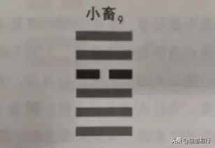xu畜怎么组词