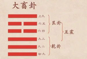 xu畜怎么组词