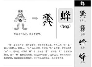 蜂组词部首和拼音怎么写