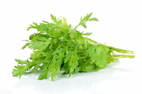 茼蒿的茼怎么组词啊