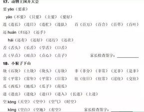 带的带子怎么组词