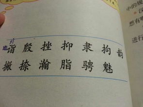 带的带子怎么组词