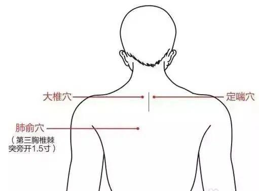 小度颈部的颈怎么组词