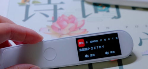 有道怎么组词