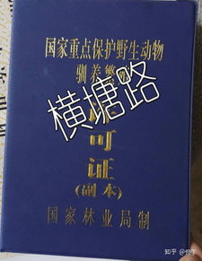 繁殖的繁怎么组词
