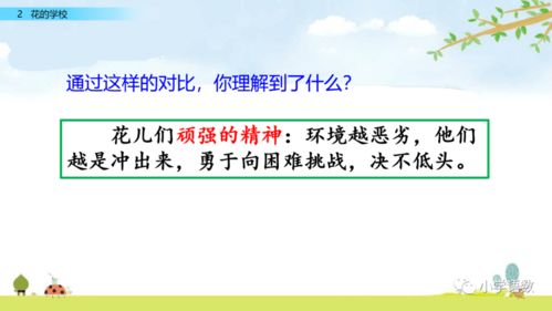 蝴蝶怎么组词