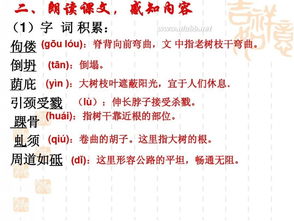 是电视的是怎么组词