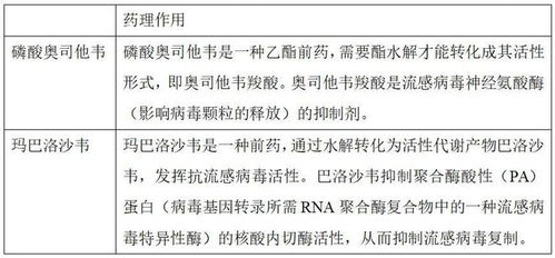 葫芦韦的苇怎么组词